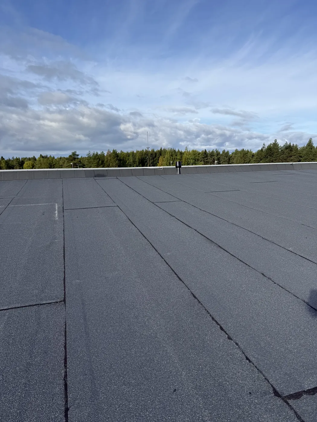 HuopaKuningas felt roof project